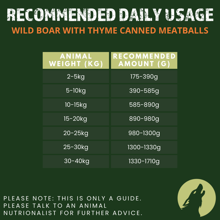 Wild Boar with Thyme Canned Meatballs for Dogs (6 x 400g)