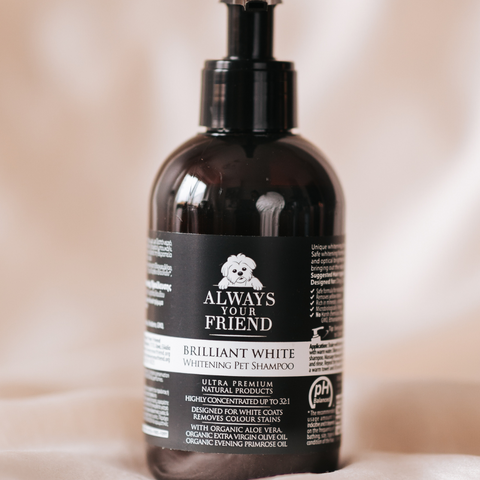 Brilliant White Shampoo – Organic Shampoo (250ml)