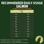 Iberian Salmon Complete Dry Cat Food for Sterilised Cats (1kg)