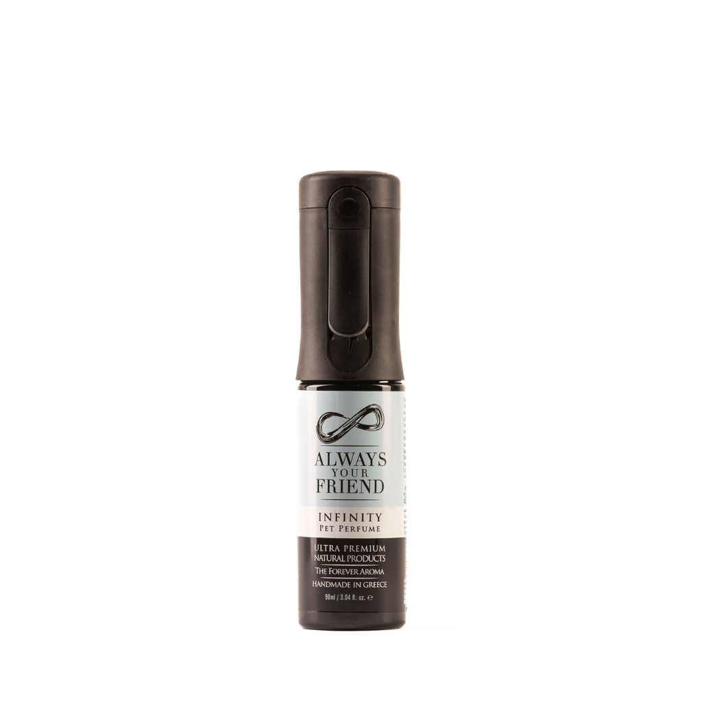 Infinity Perfume - Long-Lasting Perfume Spray (90ml)