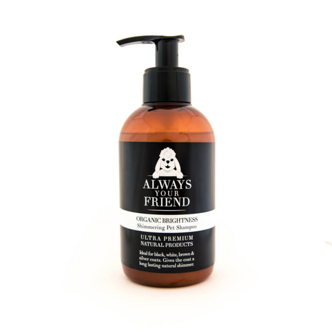 Organic Brightness – 2-in-1 Shampoo and Conditioner (250ml)