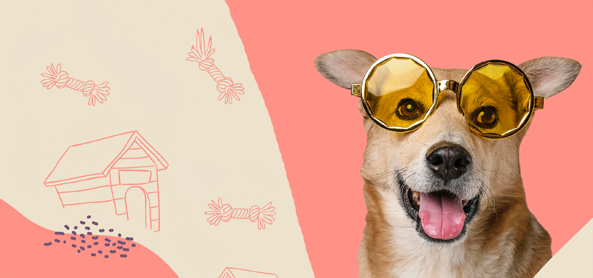 Help your dog maintain a healthier